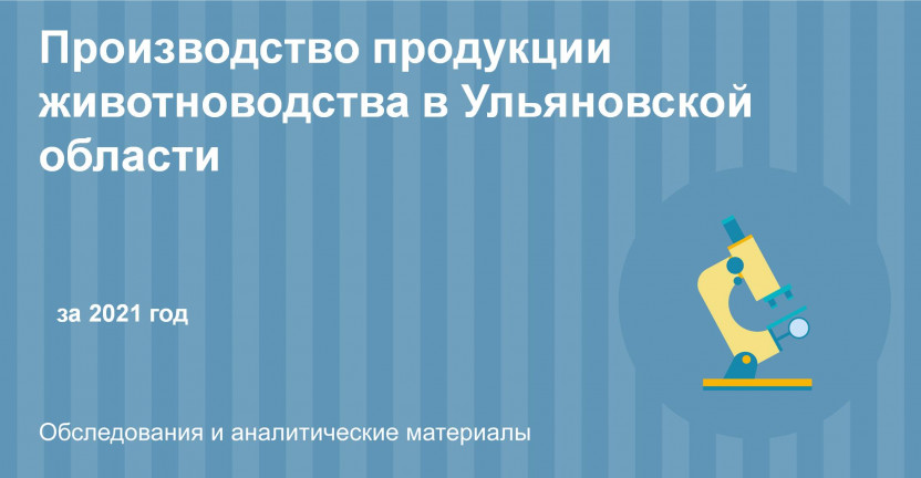 Производство продукции животноводства  Ульяновской области в 2021 году